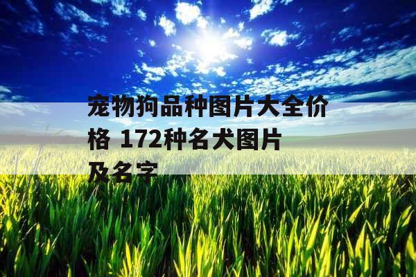 宠物狗品种图片大全价格 172种名犬图片及名字 宠物狗品种图片大全价格 172种名犬图片及名字