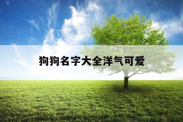狗狗名字大全洋气可爱 狗狗名字大全洋气可爱