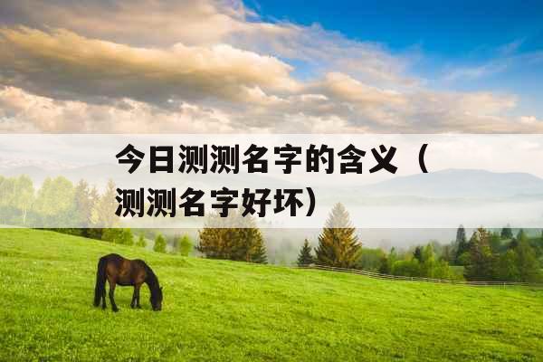 今日测测名字的含义(测测名字好坏)