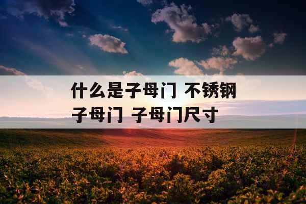 什么是子母门 不锈钢子母门 子母门尺寸