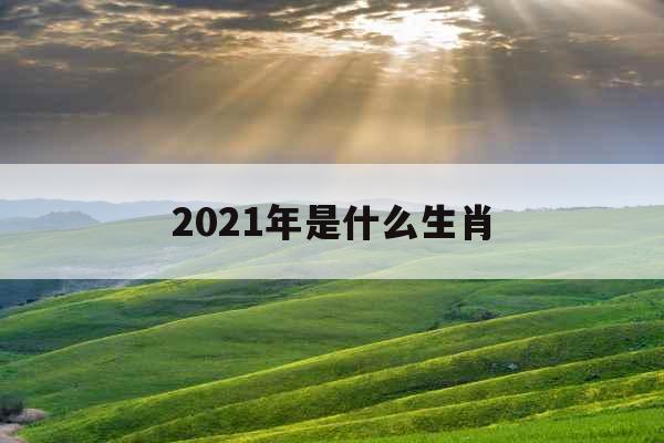 2021年是什么生肖