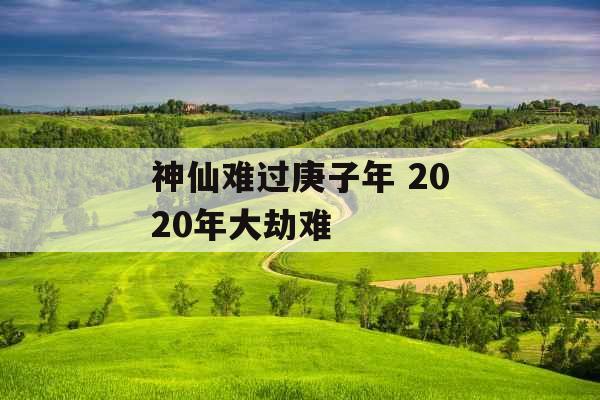 神仙难过庚子年 2020年大劫难
