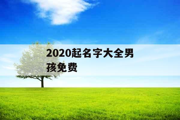 2020起名字大全男孩免费