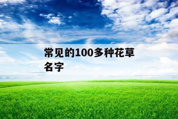 常见的100多种花草名字