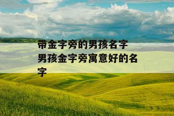 带金字旁的男孩名字 男孩金字旁寓意好的名字
