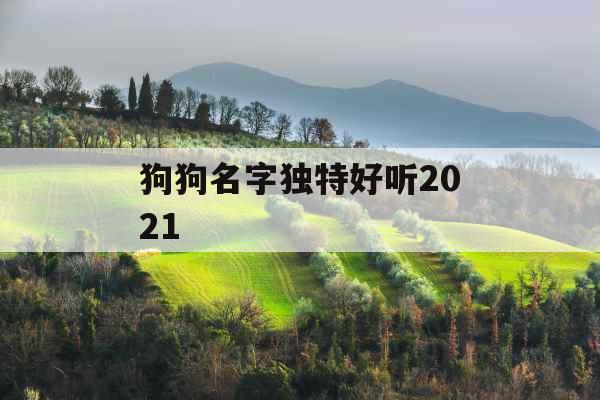 狗狗名字独特好听2021