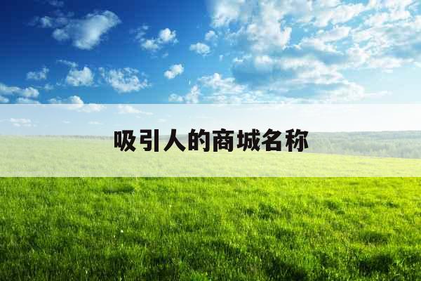 吸引人的商城名称