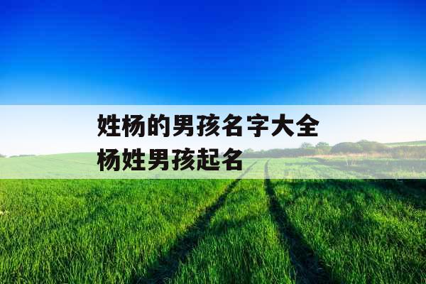 姓杨的男孩名字大全 杨姓男孩起名