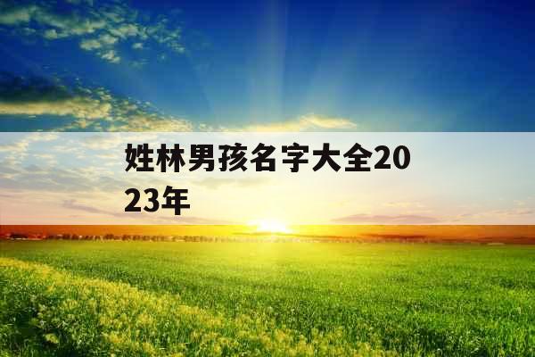 姓林男孩名字大全2023年