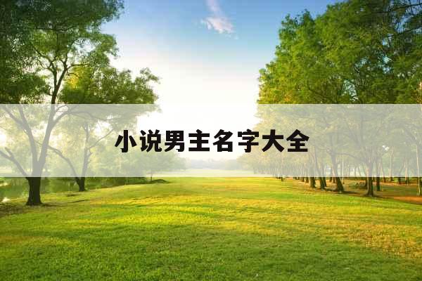 小说男主名字大全