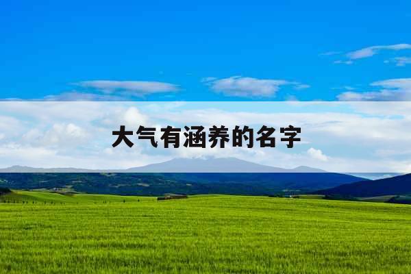 大气有涵养的名字