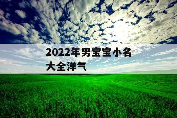 2022年男宝宝小名大全洋气 2022年男宝宝小名大全洋气