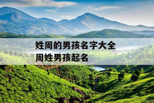 姓周的男孩名字大全 周姓男孩起名