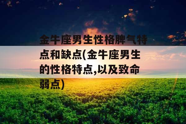 金牛座男生性格脾气特点和缺点(金牛座男生的性格特点,以及致命弱点)