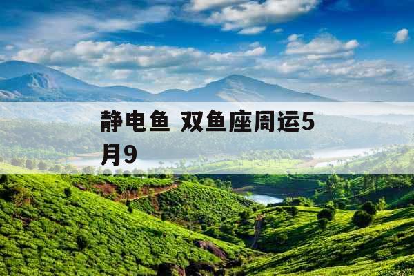 静电鱼 双鱼座周运5月9