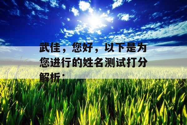 武佳，您好，以下是为您进行的姓名测试打分解析：