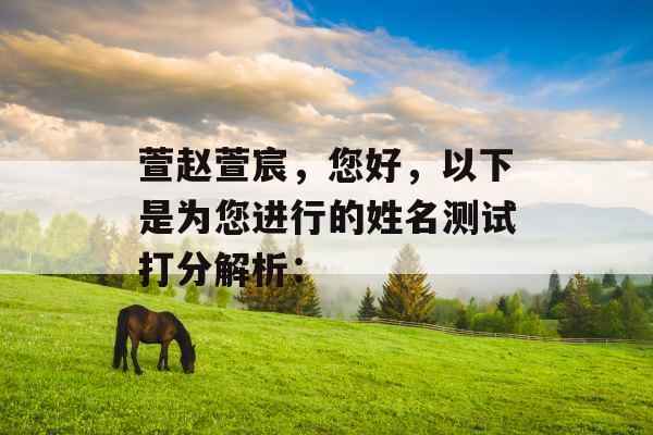 萱赵萱宸，您好，以下是为您进行的姓名测试打分解析：