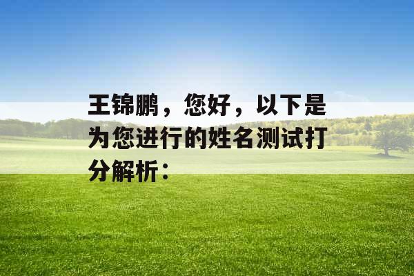 王锦鹏，您好，以下是为您进行的姓名测试打分解析：