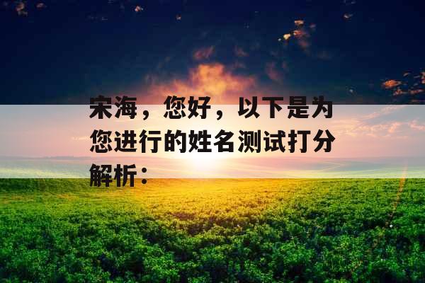 宋海,您好,以下是为您进行的姓名测试打分解析: