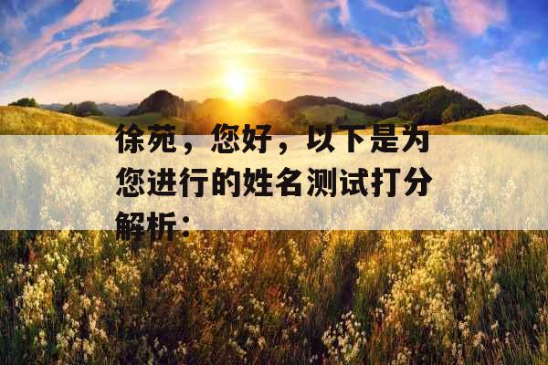 徐苑，您好，以下是为您进行的姓名测试打分解析：