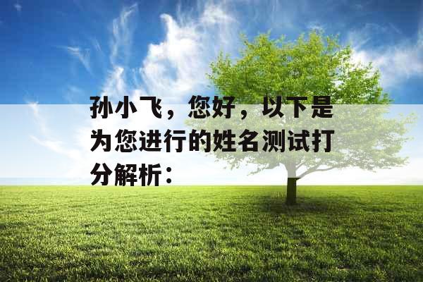 孙小飞，您好，以下是为您进行的姓名测试打分解析：