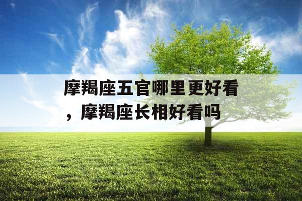 摩羯座五官哪里更好看,摩羯座长相好看吗 摩羯座五官哪里更好看,摩羯座长相好看吗