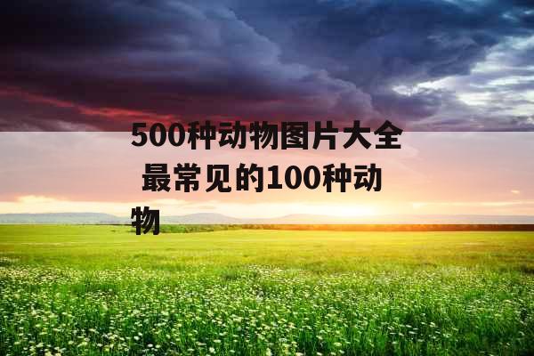 500种动物图片大全 最常见的100种动物