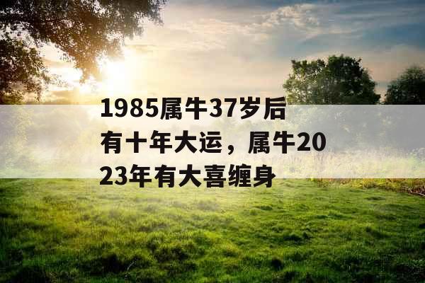 1985属牛37岁后有十年大运,属牛2023年有大喜缠身 1985属牛37岁后有十年大运,属牛2023年有大喜缠身