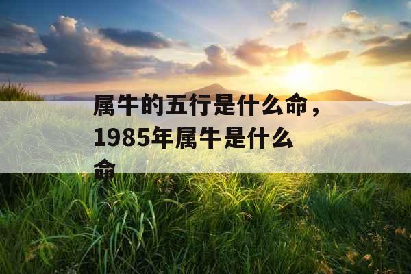 属牛的五行是什么命，1985年属牛是什么命