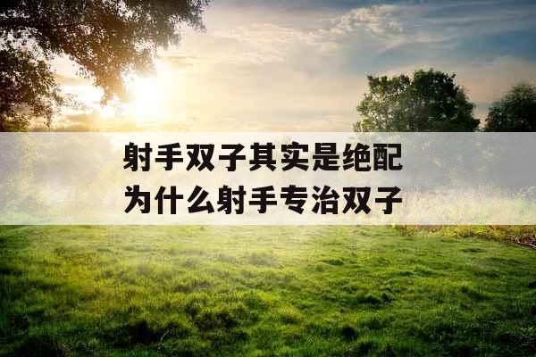 射手双子其实是绝配 为什么射手专治双子 射手双子其实是绝配 为什么射手专治双子