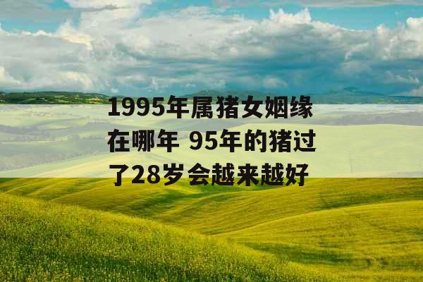 1995年属猪女姻缘在哪年 95年的猪过了28岁会越来越好 1995年属猪女姻缘在哪年 95年的猪过了28岁会越来越好