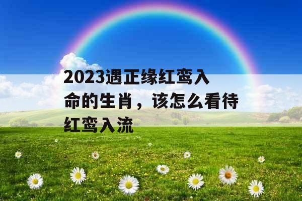 2023遇正缘红鸾入命的生肖，该怎么看待红鸾入流