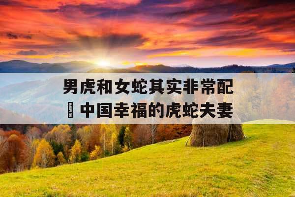 男虎和女蛇其实非常配 中国幸福的虎蛇夫妻