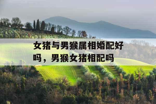 女猪与男猴属相婚配好吗，男猴女猪相配吗