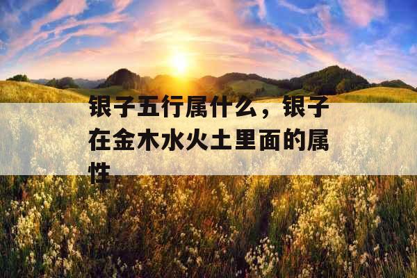 银子五行属什么，银子在金木水火土里面的属性