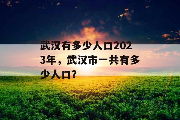 武汉有多少人口2023年，武汉市一共有多少人口？