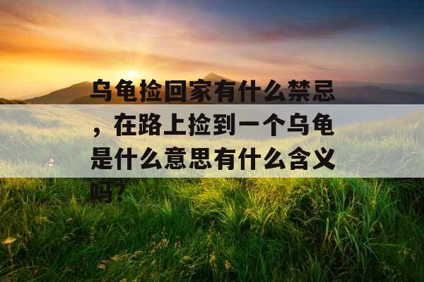 乌龟捡回家有什么禁忌，在路上捡到一个乌龟是什么意思有什么含义吗？