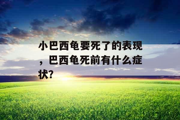 小巴西龟要死了的表现，巴西龟死前有什么症状？