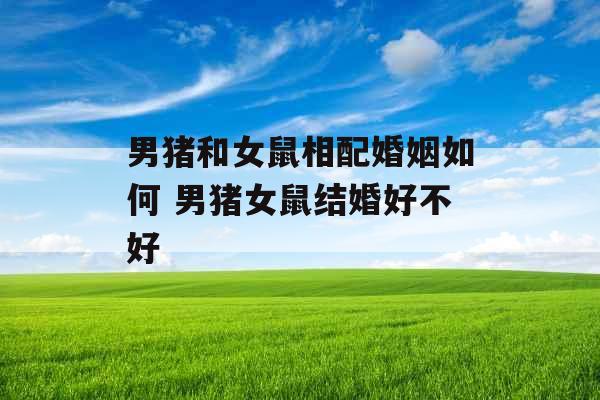 男猪和女鼠相配婚姻如何 男猪女鼠结婚好不好 男猪和女鼠相配婚姻如何 男猪女鼠结婚好不好