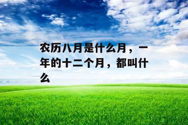 农历八月是什么月,一年的十二个月,都叫什么 农历八月是什么月,一年的十二个月,都叫什么