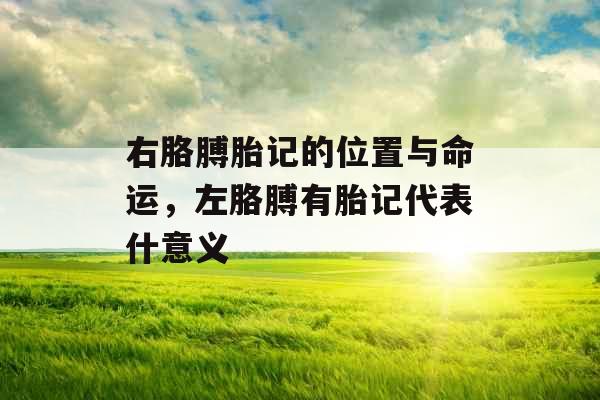 右胳膊胎记的位置与命运,左胳膊有胎记代表什意义 右胳膊胎记的位置与命运,左胳膊有胎记代表什意义