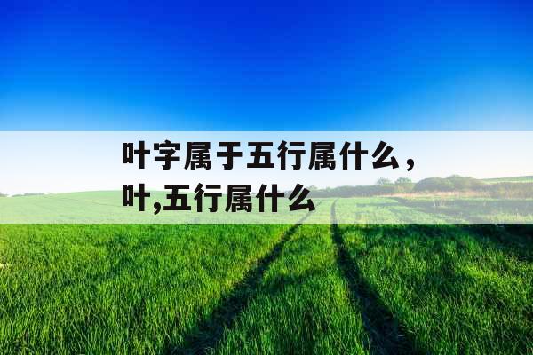 叶字属于五行属什么，叶,五行属什么