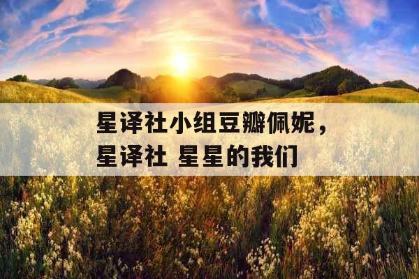 星译社小组豆瓣佩妮，星译社 星星的我们