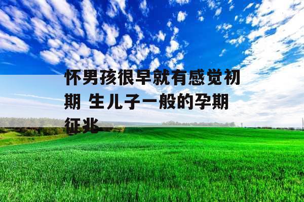 怀男孩很早就有感觉初期 生儿子一般的孕期征兆 怀男孩很早就有感觉初期 生儿子一般的孕期征兆
