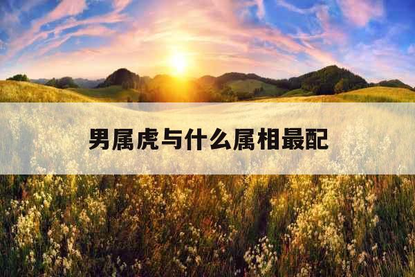 男属虎与什么属相最配