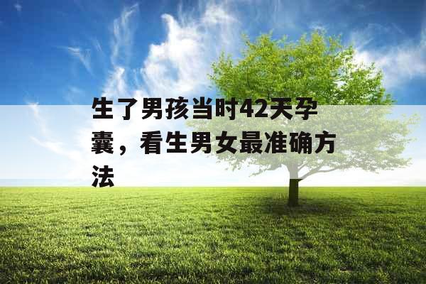 生了男孩当时42天孕囊，看生男女最准确方法