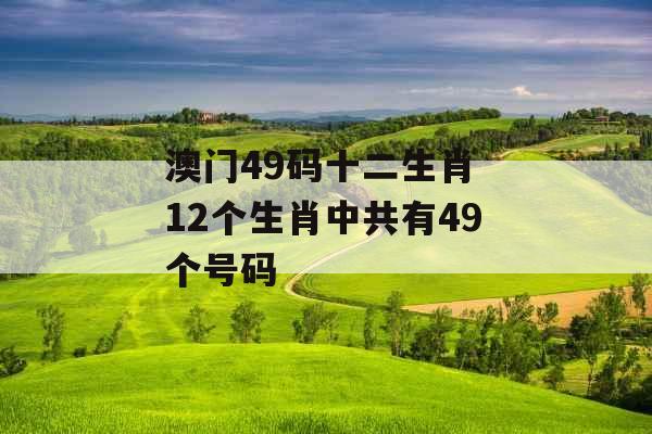 澳门49码十二生肖 12个生肖中共有49个号码