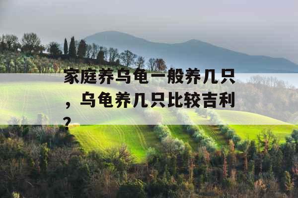 家庭养乌龟一般养几只，乌龟养几只比较吉利？