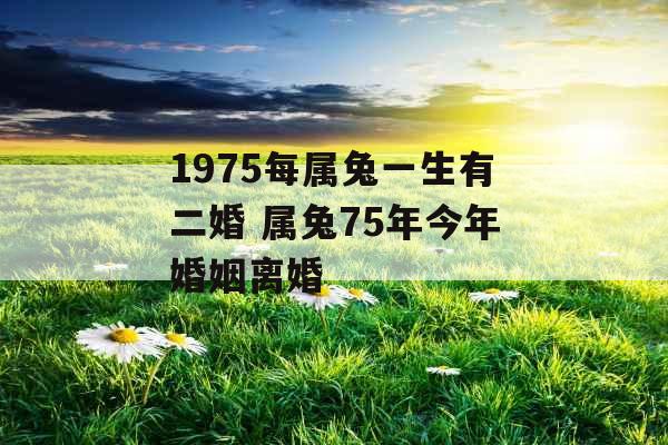 1975每属兔一生有二婚 属兔75年今年婚姻离婚
