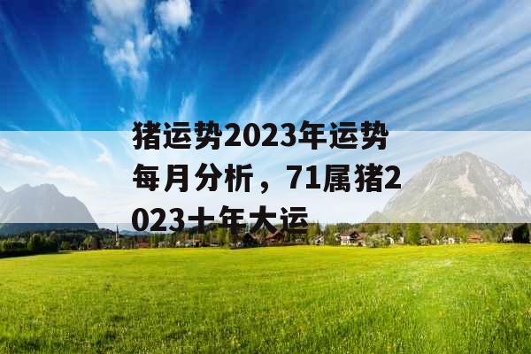 猪运势2023年运势每月分析，71属猪2023十年大运